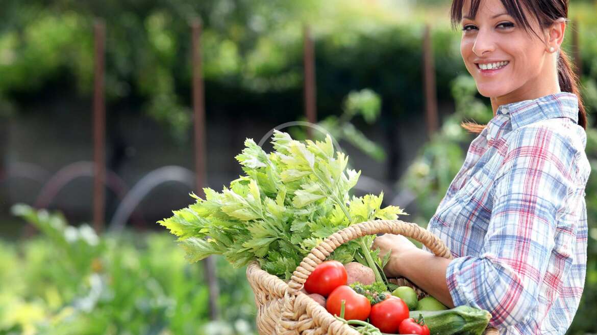 Hair Loss Can Be Fought With These 7 Foods